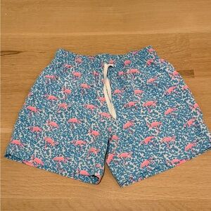 CHUBBIES Blue Pink Flamingos size small 5.5 Inseam Mens Swim Trunks